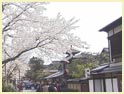 ���䎛�̍�